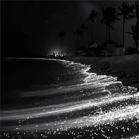 半夏傷流年