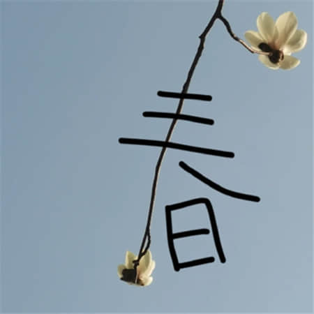 吹散星光
