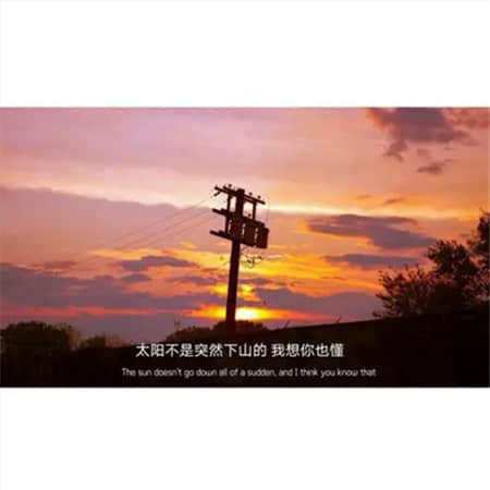淡墨无殇