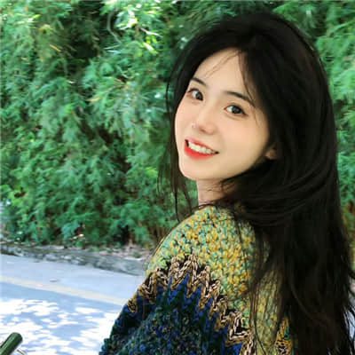 淡雅如菊