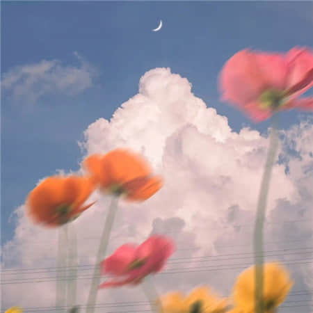 温柔阳光