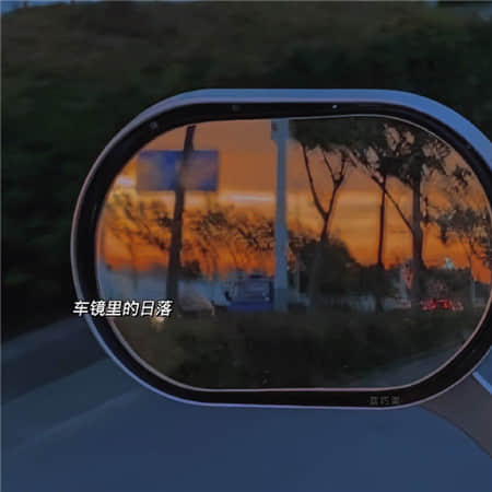 我跟你拼了