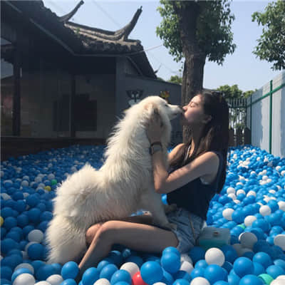 小美美