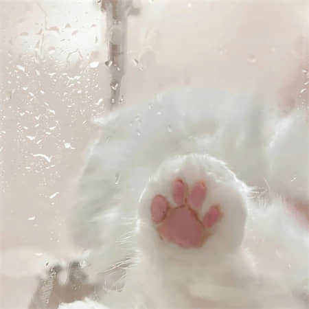 小索