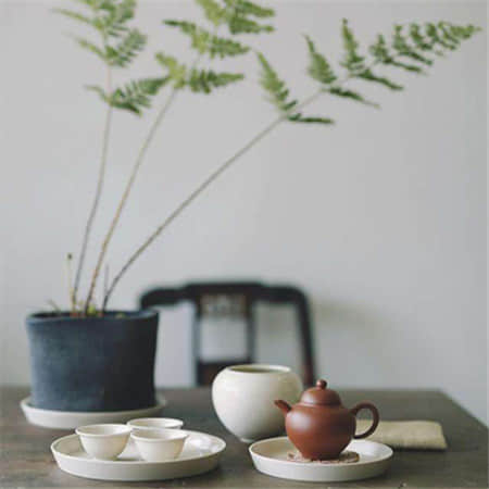 小鑫