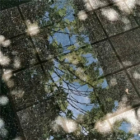 小洋人
