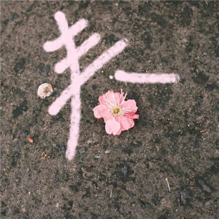 小昭维