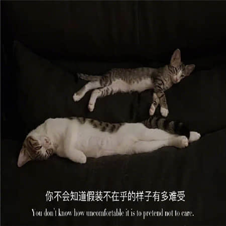 一季烟雨凉