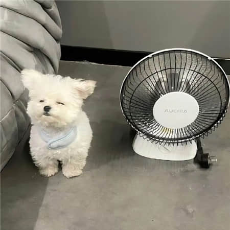 终有一天