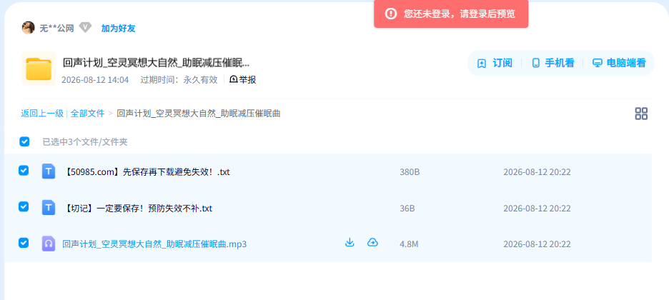 网盘目录截图