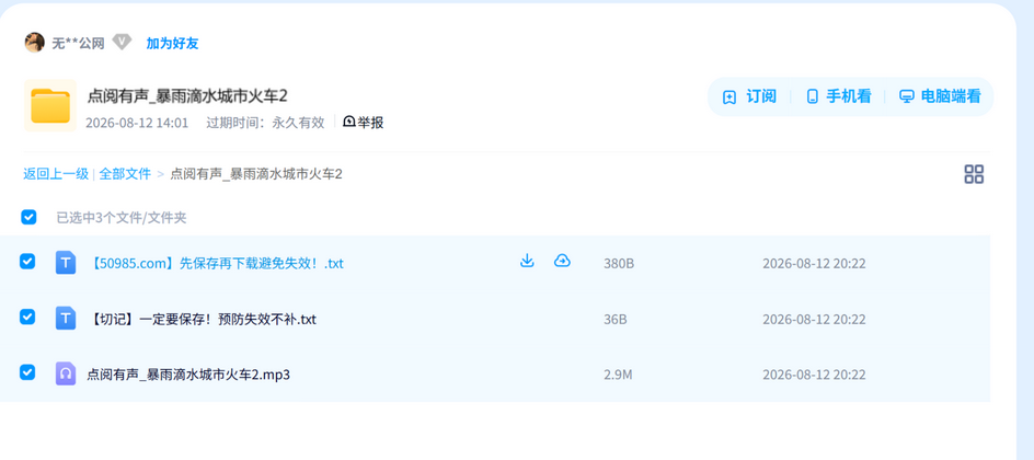 点阅有声_暴雨滴水城市火车2 网盘目录截图
