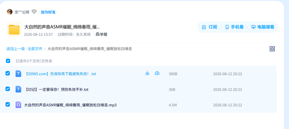 大自然的声音ASMR催眠_绵绵春雨_催眠放松白噪音 网盘目录截图