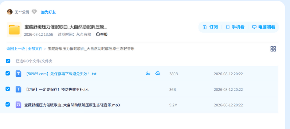 宝藏舒缓压力催眠歌曲_大自然助眠解压原生态轻音乐 网盘目录截图