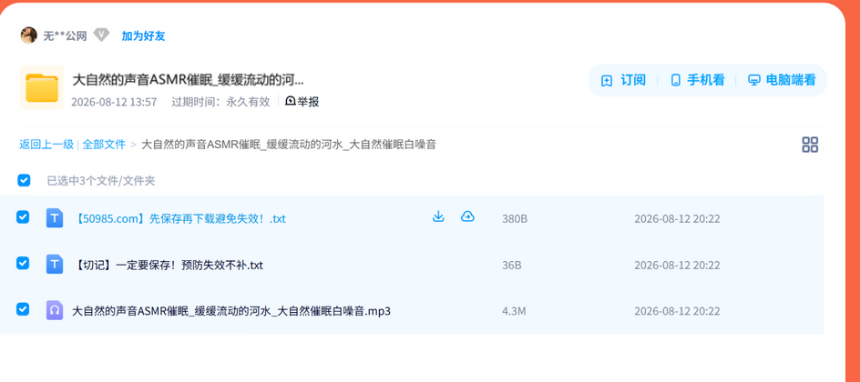 大自然的声音ASMR催眠_缓缓流动的河水_大自然催眠白噪音 网盘目录截图