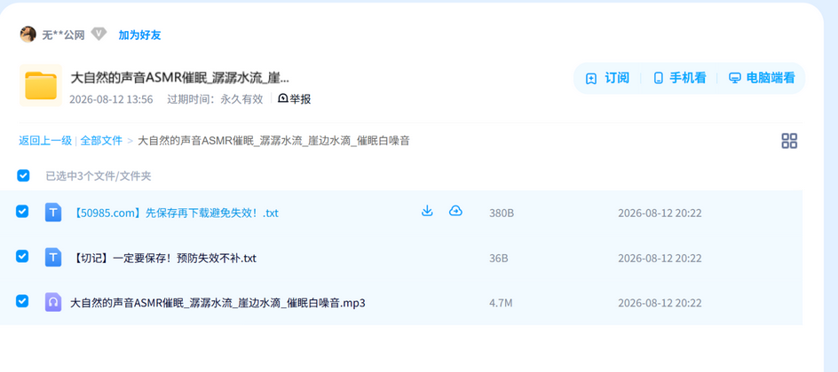大自然的声音ASMR催眠_潺潺水流_崖边水滴_催眠白噪音 网盘目录截图