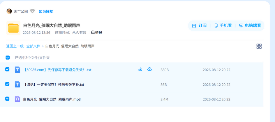 白色月光_催眠大自然_助眠雨声 网盘目录截图