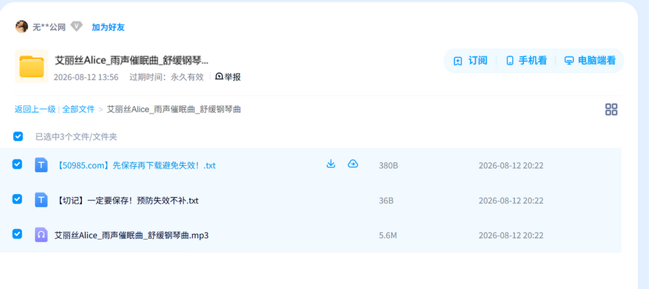 艾丽丝Alice_雨声催眠曲_舒缓钢琴曲 网盘目录截图