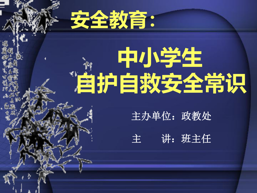 内页样张
