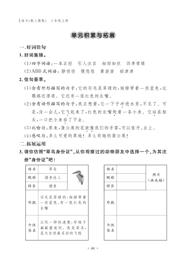 内页样张