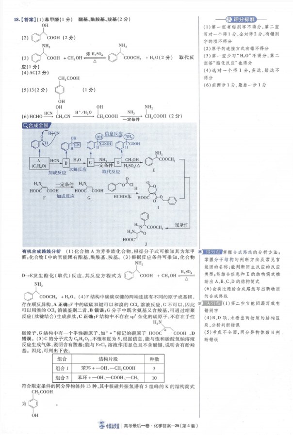 内页样张