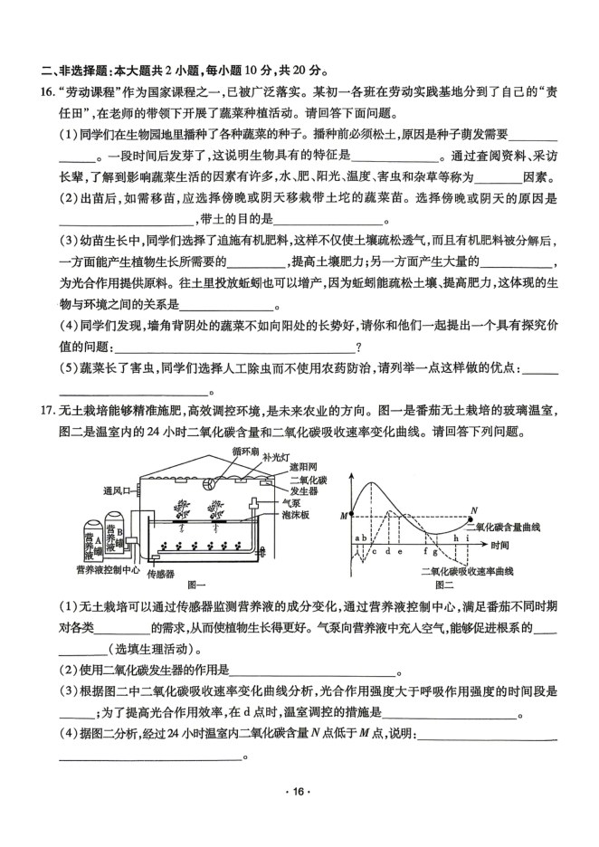 内页样张