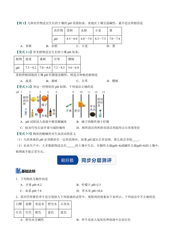 内页样张