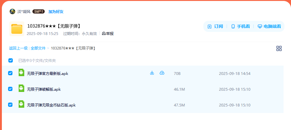 网盘目录截图