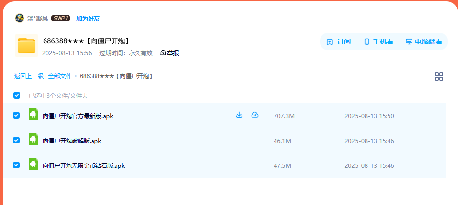 网盘目录截图