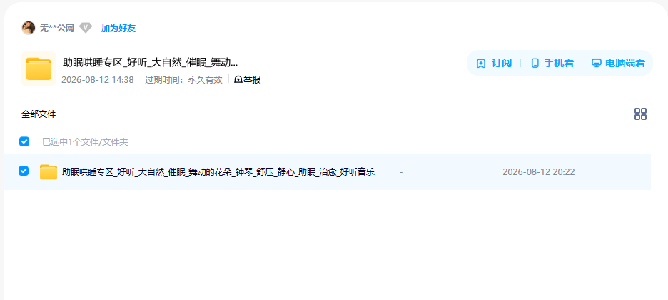 网盘目录截图