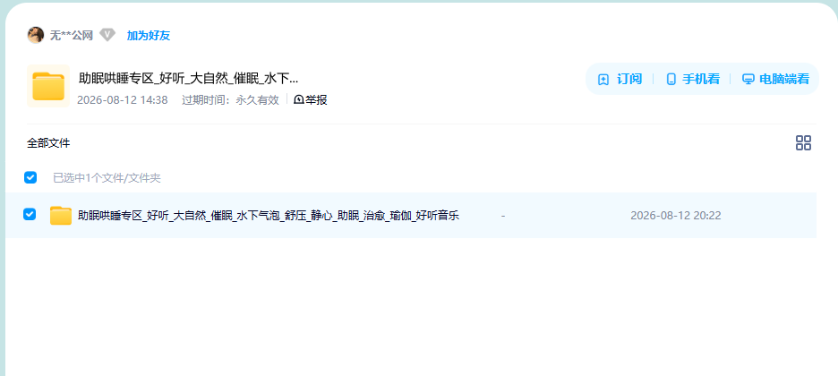 网盘目录截图