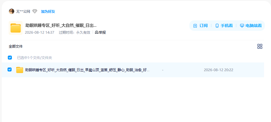 网盘目录截图