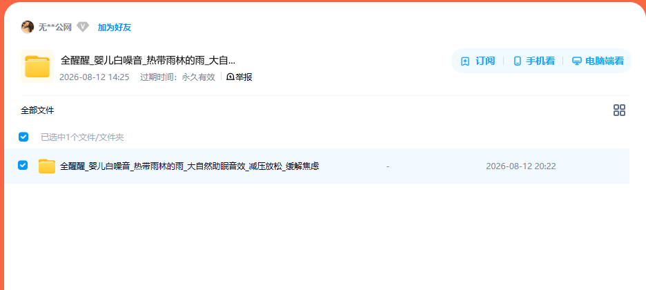 网盘目录截图