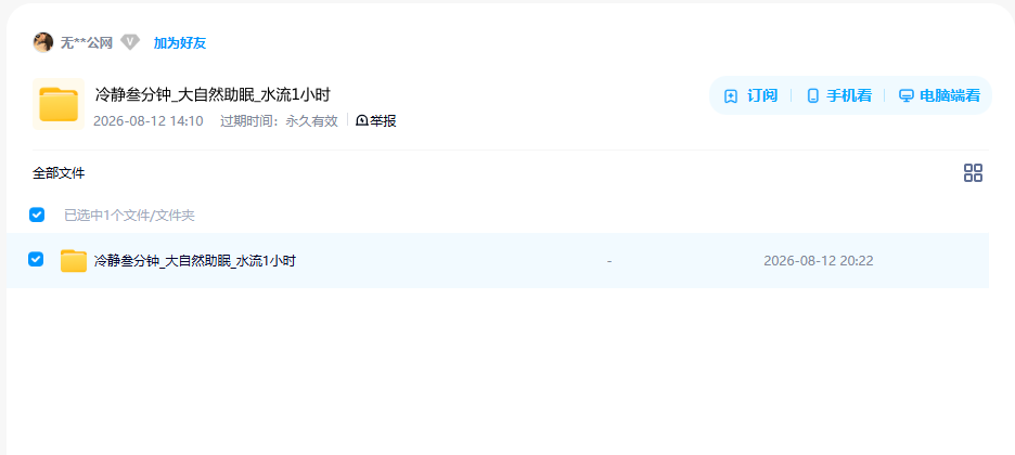 网盘目录截图