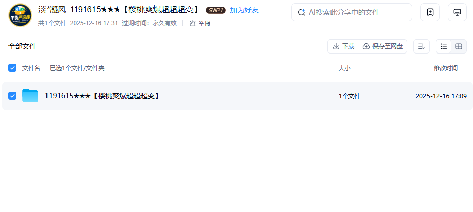 网盘目录截图