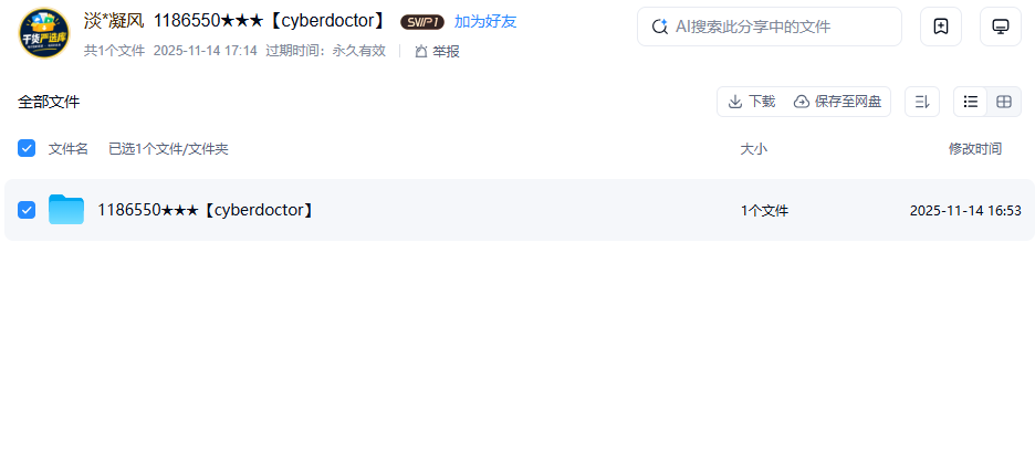 网盘目录截图