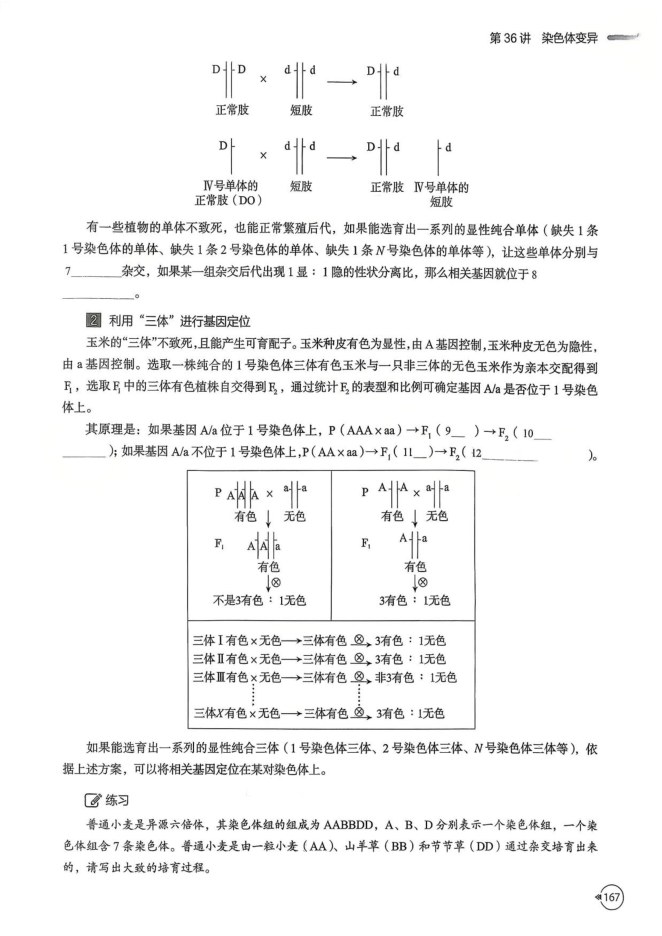 内页样张