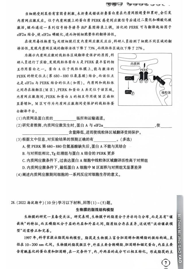 内页样张