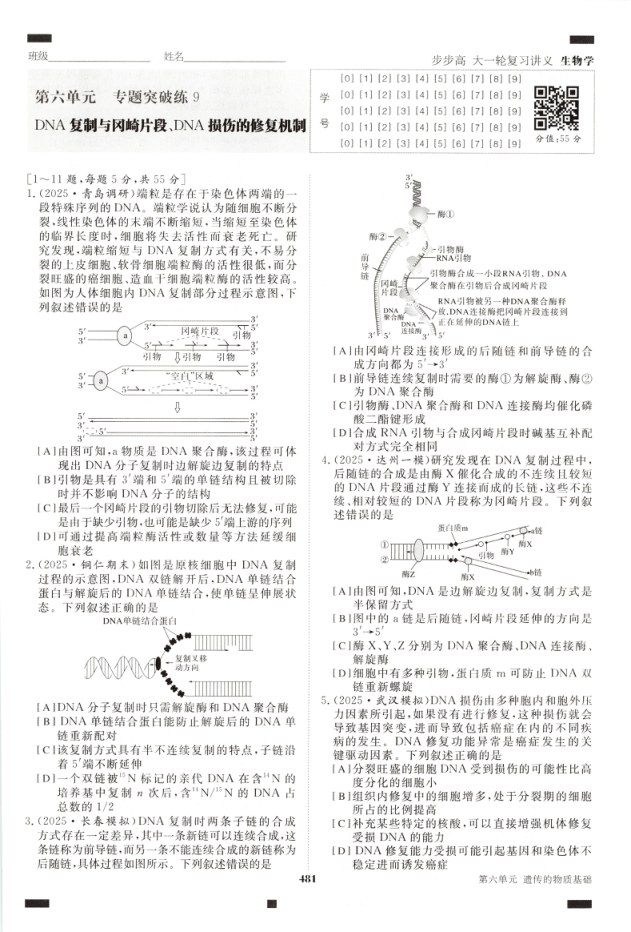 内页样张
