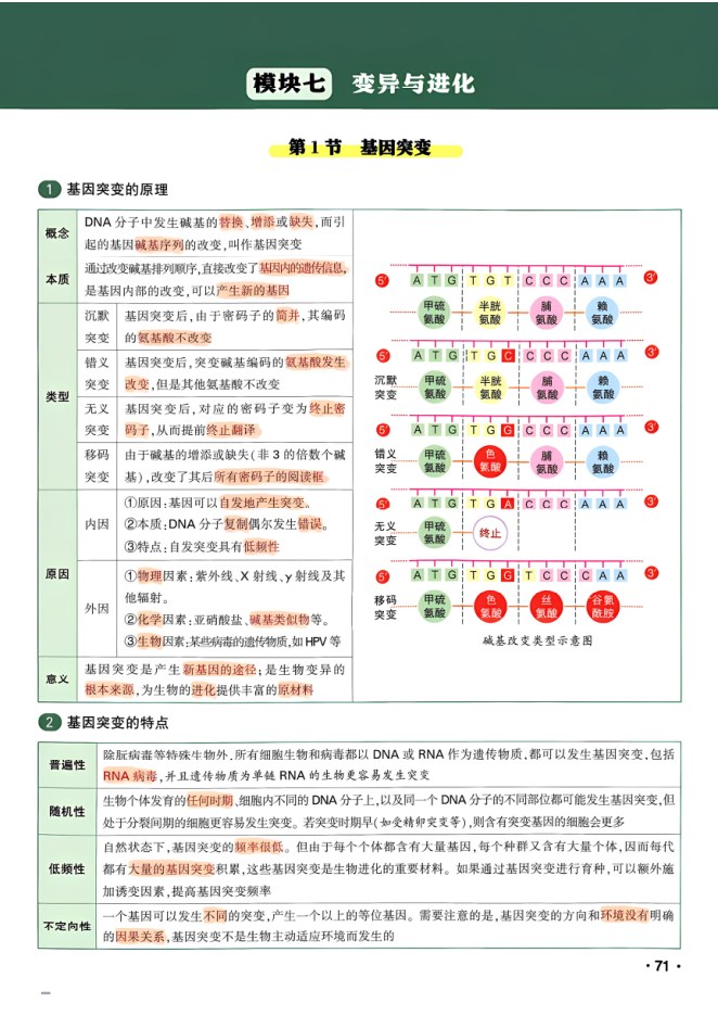 内页样张